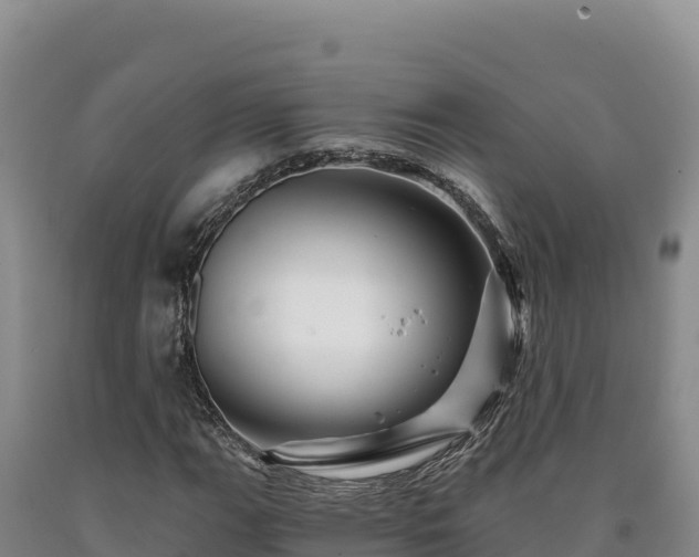 X0000090721111200707271147