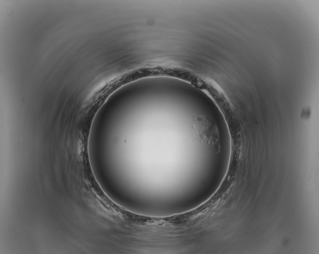 X0000090721112200707271147
