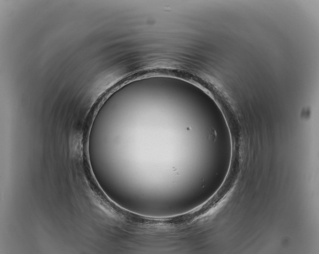 X0000090721113200707271147