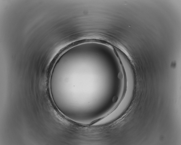 X0000090721116200707271147