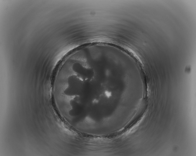 X0000090721117200707271147