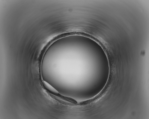 X0000090721118200707271147