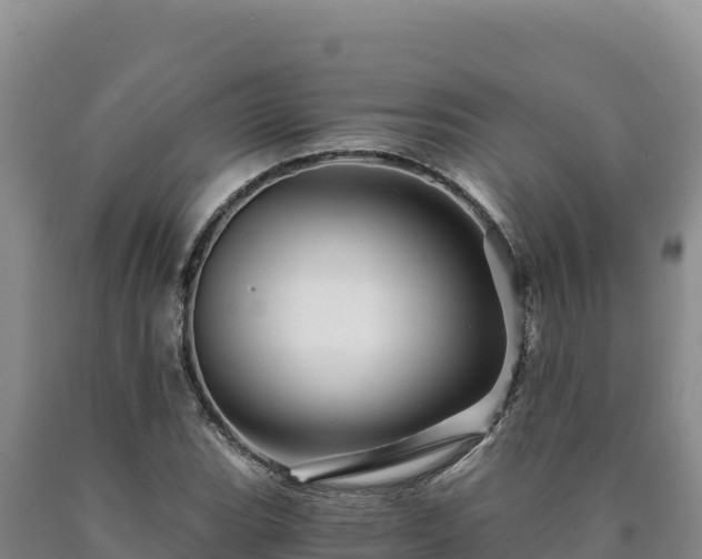 X0000090721119200707271147