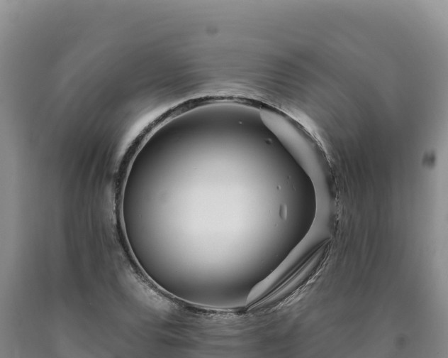 X0000090721120200707271147