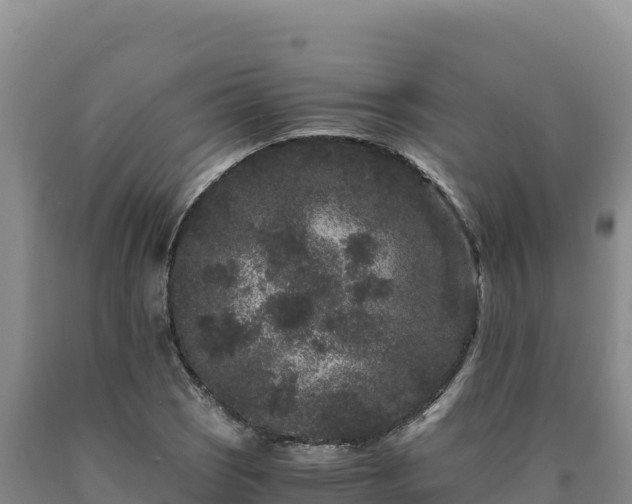 X0000090721121200707271147