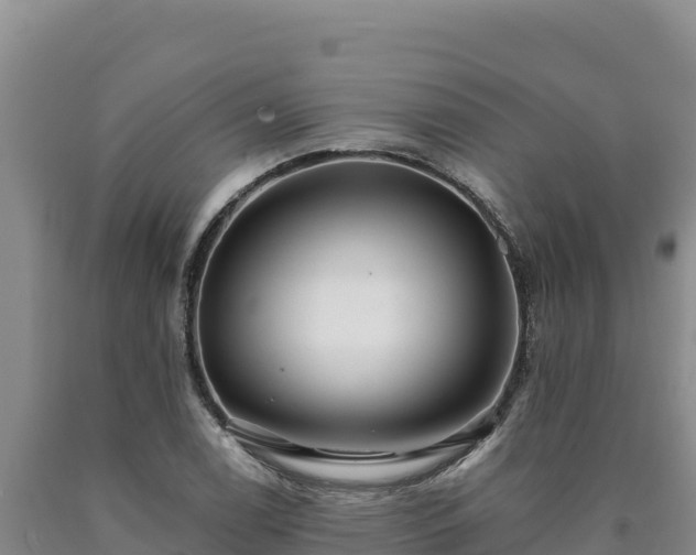 X0000090721122200707271147