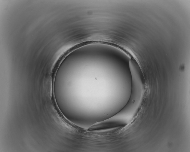 X0000090721123200707271147