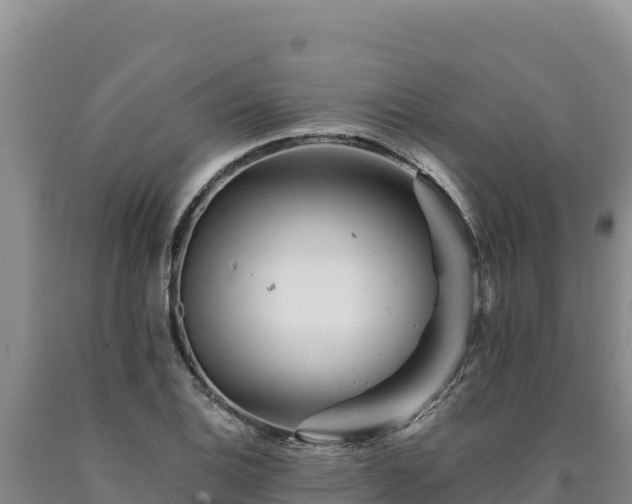 X0000090721124200707271147