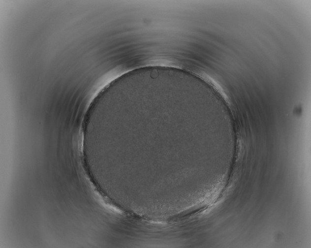 X0000090721125200707271147
