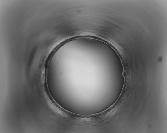 X0000090721126200707271147