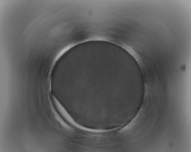 X0000090721127200707271147