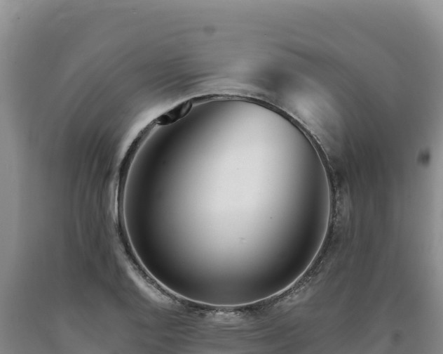X0000090721128200707271147