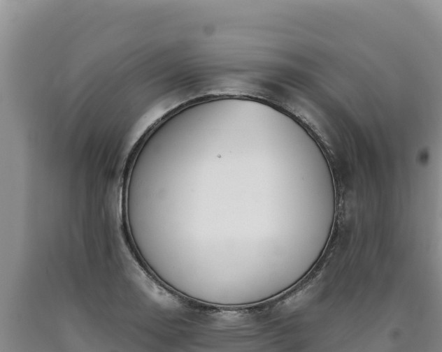 X0000090721130200707271147