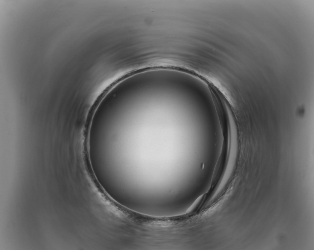 X0000090721134200707271147