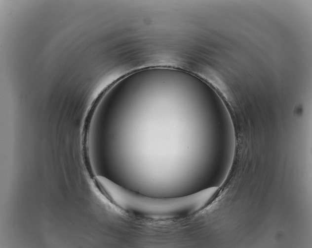 X0000090721135200707271147