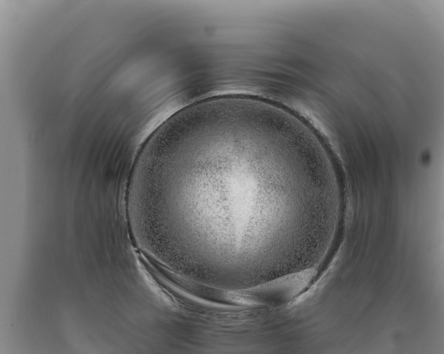 X0000090721137200707271147