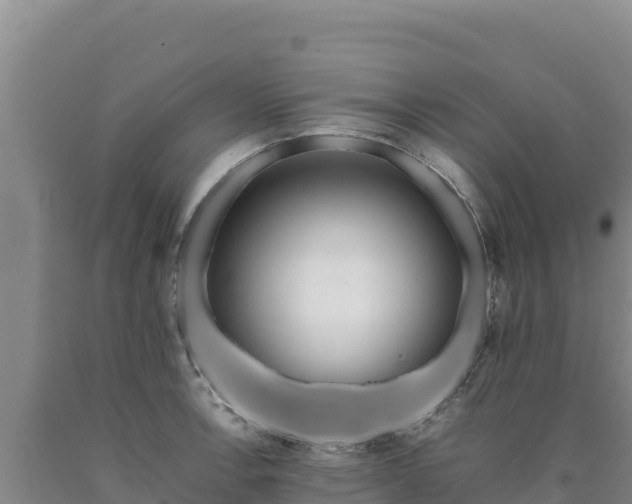 X0000090721138200707271147