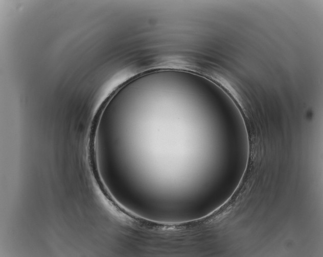 X0000090721139200707271147
