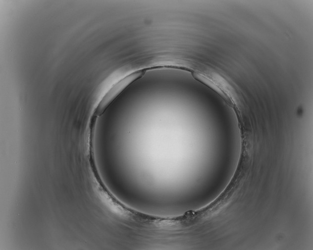 X0000090721140200707271147