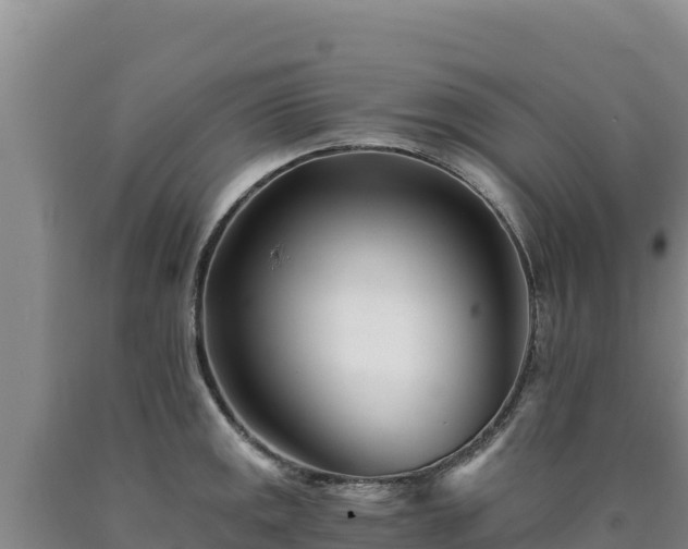 X0000090721141200707271147