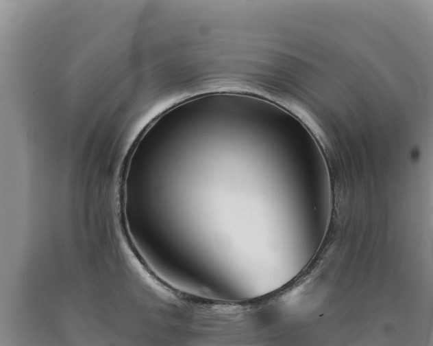 X0000090721142200707271147