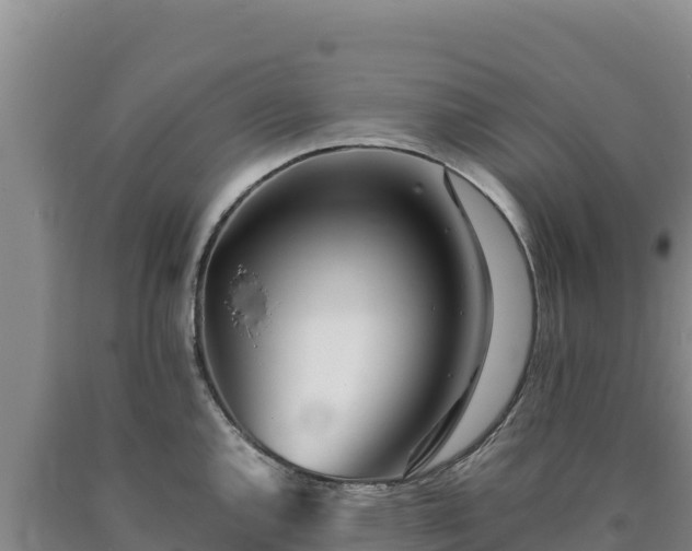 X0000090721144200707271147