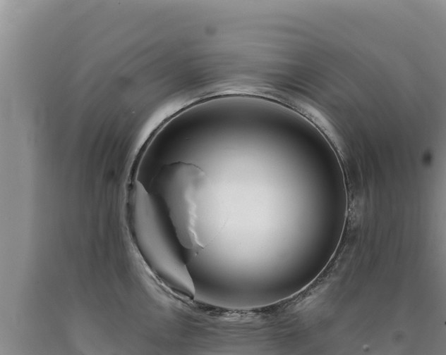 X0000090721146200707271147