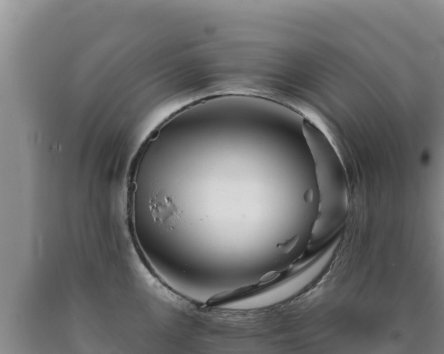 X0000090721147200707271147