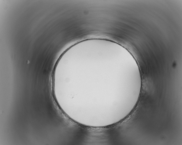 X0000090721150200707271147