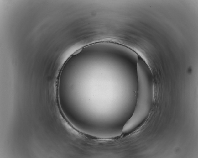 X0000090721151200707271147