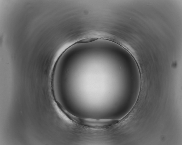 X0000090721152200707271147