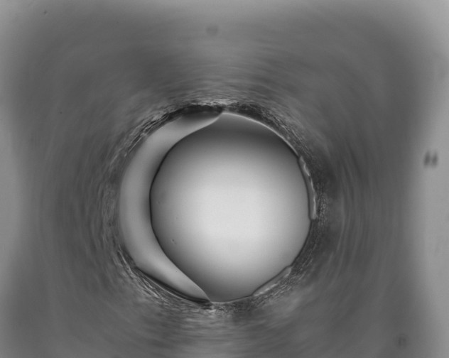 X0000090721153200707271147