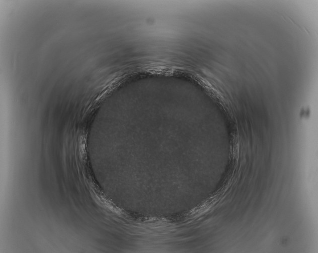 X0000090721154200707271147