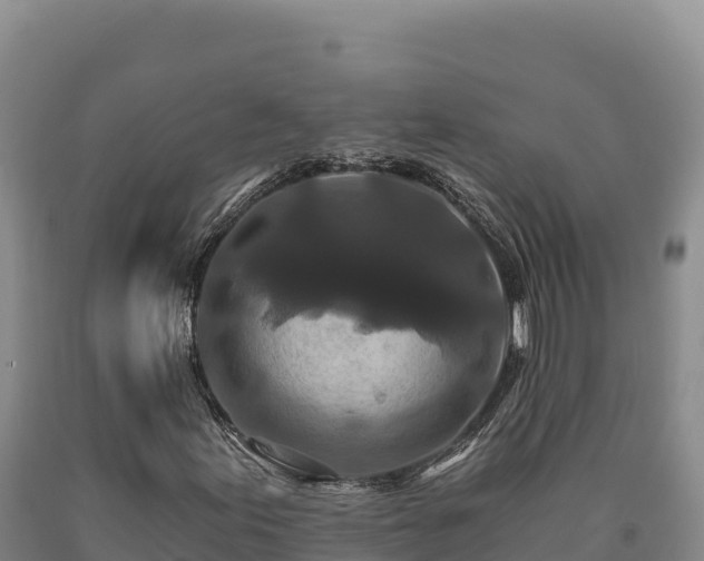 X0000090721155200707271147