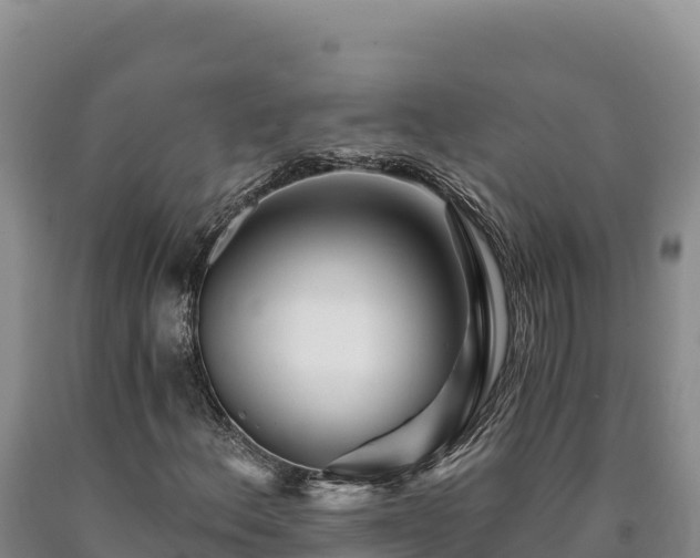 X0000090721156200707271147