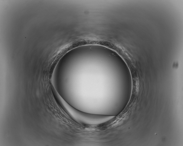 X0000090721157200707271147