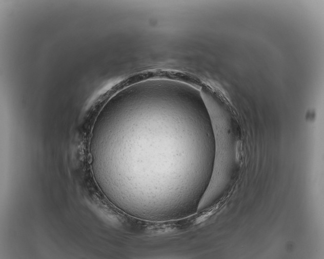 X0000090721159200707271146