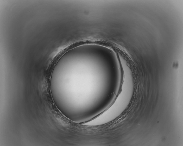 X0000090721160200707271146