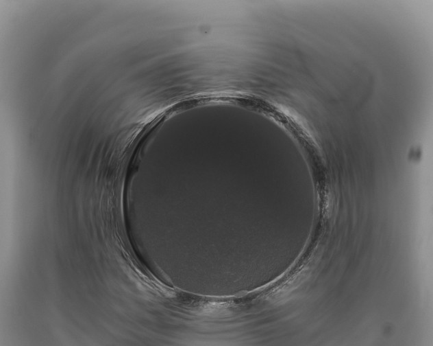 X0000090721161200707271146