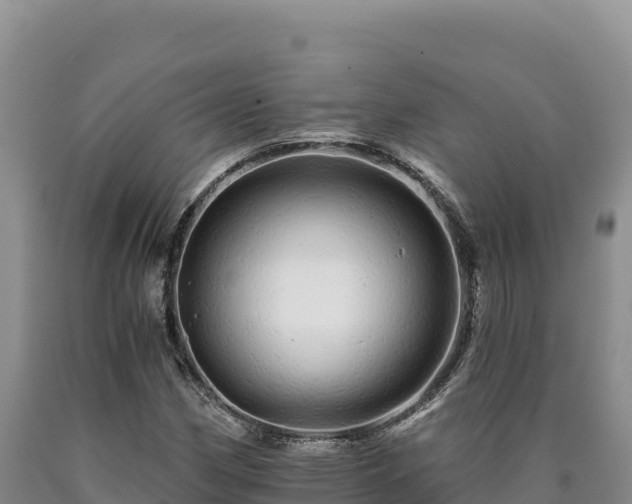 X0000090721162200707271146