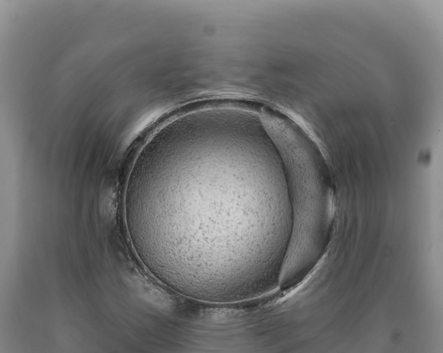 X0000090721163200707271146