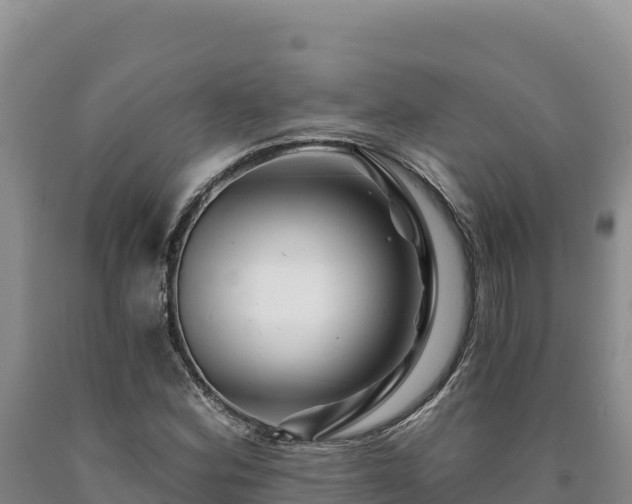 X0000090721164200707271146