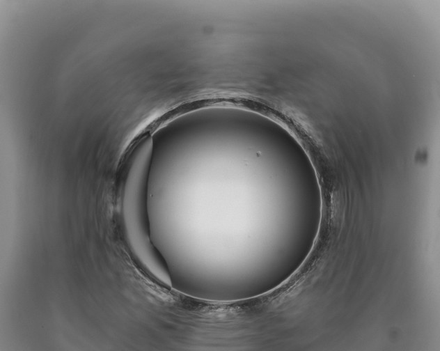 X0000090721165200707271146