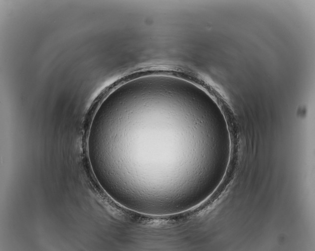 X0000090721166200707271146
