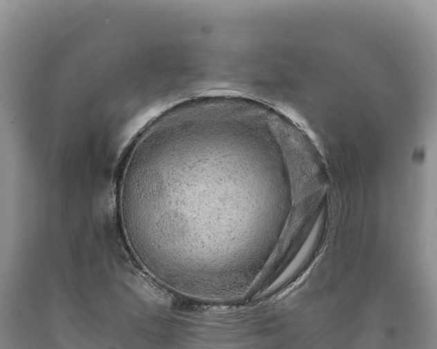 X0000090721167200707271146
