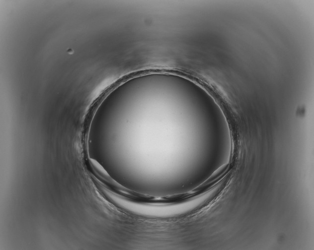 X0000090721168200707271146
