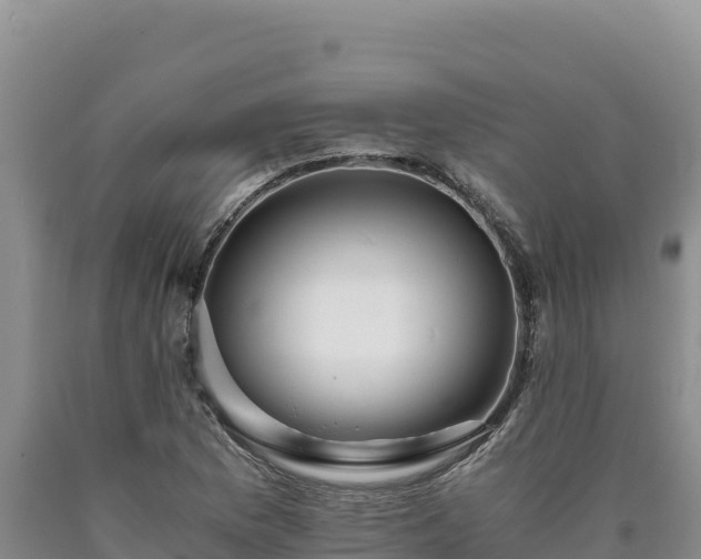 X0000090721169200707271146
