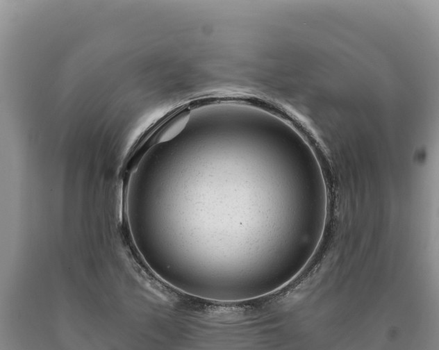X0000090721171200707271146