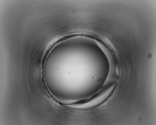 X0000090721172200707271146