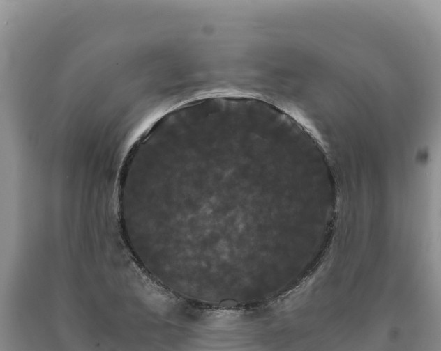X0000090721173200707271146